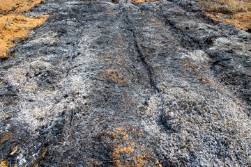 The field is burning