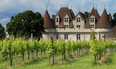 Fototapeta na wymiar Chateau de monbazillac