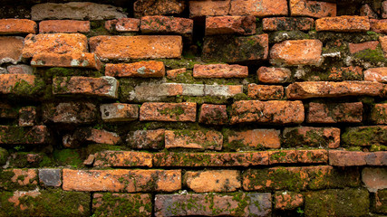 Old red brick wall of Thai temple with green plant or moss.