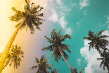 Papier Peint photo Lavable Palmier Coconut palm trees - Tropical summer breeze holiday, vintage & light leak effect