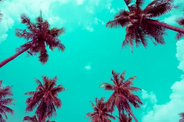 Papier Peint photo Lavable Palmier Coconut palm trees - Tropical summer breeze holiday, Color fun tone