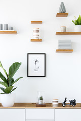 Poster on white wall above wooden cupboard with plant in simple interior. Real photo
