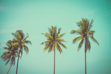 Cercles muraux Palmier Cocotiers en journée ensoleillée - Vacances tropicales de brise d& 39 été, ton vintage