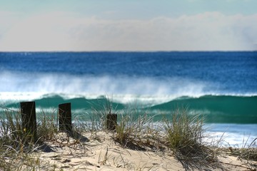 Posts on a pathway leading to the beach