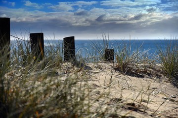 Posts on a pathway leading to the beach