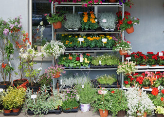 Fototapeta na wymiar A small street store sells fresh live spring flowers in pots