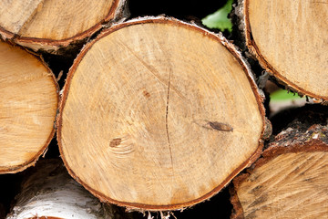 Naklejka premium stacked birch tree background