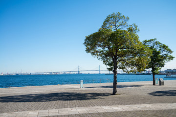 Naklejka na ściany i meble Green seaside city park, Yokohama Japan