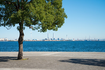 Green seaside city park, Yokohama Japan