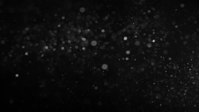 Natural Organic Dust Particles Floating On Black Background. Glittering Sparkling Particles Randomly Spin In The Air With Bokeh. Dynamic Particles With Fast And Slow Motion. Shimmering Dust In Space.