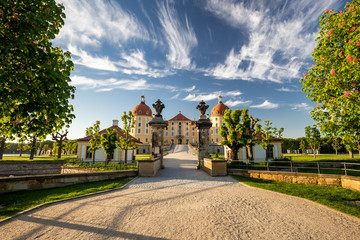 Schloss Moritzburg am Abend - obrazy, fototapety, plakaty