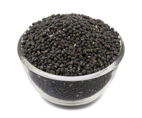 Black Gram or Black Mung isolated on White Background