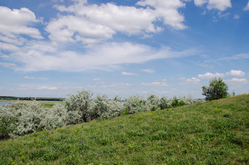 green field under the sky with clouds