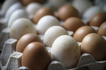 Closeup of fresh organic eggs
