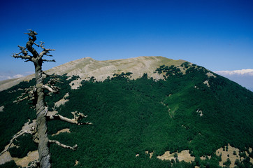 serra del prete parco nazione pollino basilicata