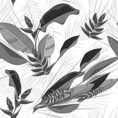 Seamless hand drawn tropical pattern with palm leaves, jungle exotic leaf on white background