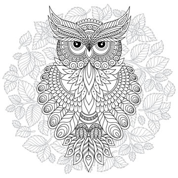 Coloring book for adult and older children. Coloring page with cute owl and floral frame.