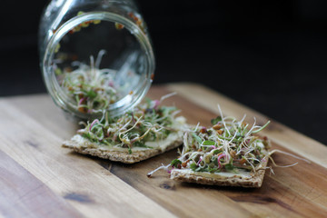 Sprossen aus dem Glas