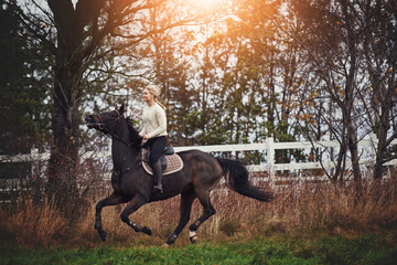 Young woman galloping her horse through the countryside in autumn