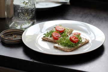 Sprossen auf dem Knäckebrot in der Küche