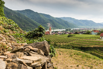 Fototapeta na wymiar Scenic View into the Wachau with the river Danube and the market town Weissenkirchen in Lower Austria. Famous UNESCO cultural landscape known for its wine.