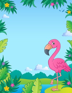 Flamingo topic image 2