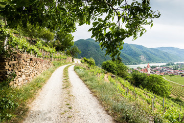 Fototapeta premium Scenic View into the Wachau with the river Danube and town Weissenkirchen in Lower Austria.