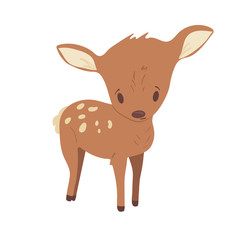 Forest animal cute cartoon vector illustration