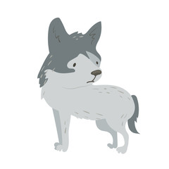 Forest animal cute cartoon vector illustration