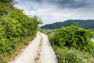 Fototapeta na wymiar Countryside road in the Wachau valley. Lower Austria.