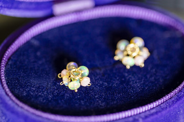 ケースに入ったオパール