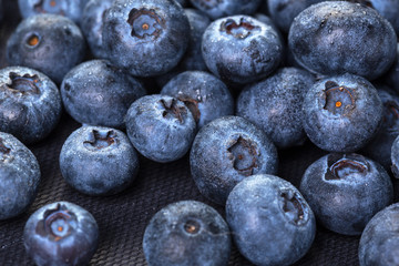 Freshly picked blueberries