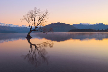 Lake Wanaka, Otago, South Island, New Zealand