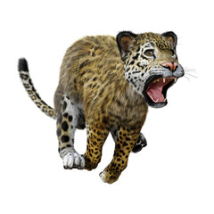 Fototapeta na wymiar 3D Rendering Big Cat Jaguar on White