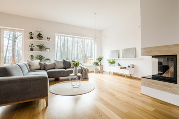 Simple living room interior