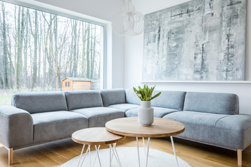 Minimal grey living room interior