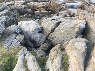 Rock hyraxes having a warm morning sun bath as the cling to the rocks