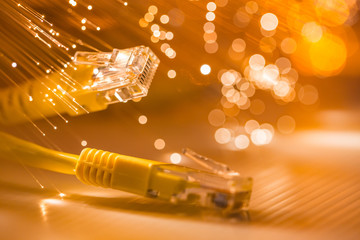 fiber