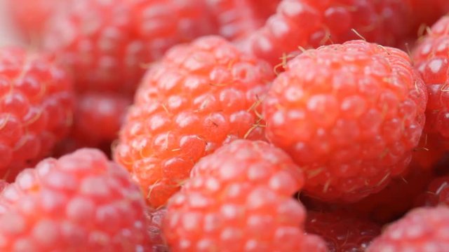 Macro view of rotating raspberries