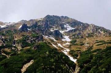 Dramatic moutains near forest