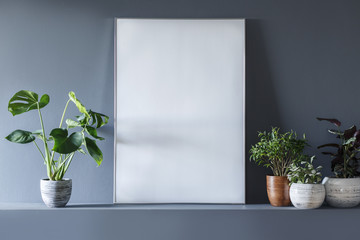 Close-up of mockup on empty white poster in grey room interior with plants