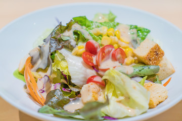 Fresh salad with chicken, tomatoes and mixed greens (arugula, mesclun, mache) in white bowl on wooden table. Healthy food..