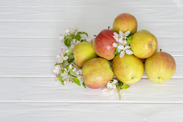apple flowers and ripe apples on a white wooden background.