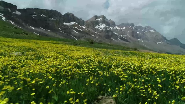 muhteşem &ccedil;i&ccedil;ekler,bahar manzaraları ve dağlar