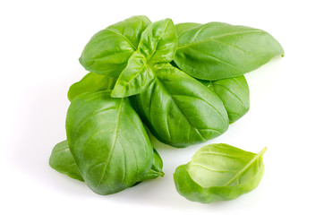 fresh basil leaves