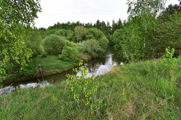 spring landscape, river flowing, steep bank, green trees, bushes, grass
