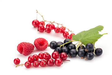 Blackcurrants with raspberries