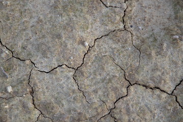 the plowed land of the vineyard after the rain
