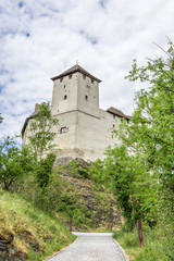 Fototapeta na wymiar Burg Gutenberg in the Alps. Vaduz Castle in Liechtenstein with mountains