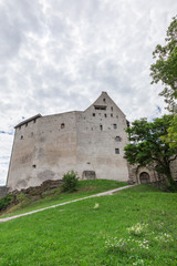Fototapeta na wymiar Burg Gutenberg in the Alps. Vaduz Castle in Liechtenstein with mountains